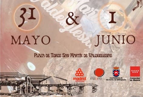 IV FERIA DEL VINO DE SAN MARTIN DE VALDEIGLESIAS (Madrid)  (31May25)