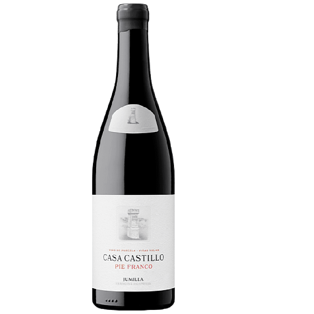 CASA CASTILLO – PIE FRANCO
