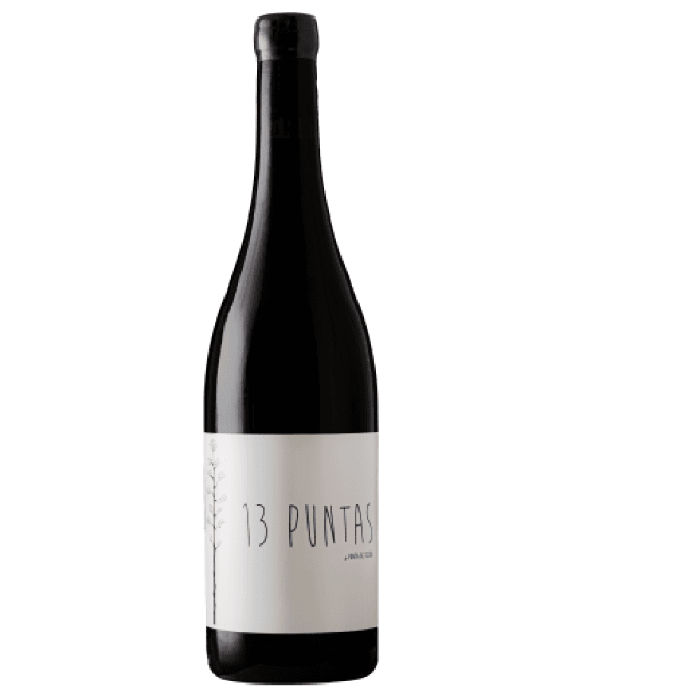 PUNTA DE FLECHA – 13 PUNTAS