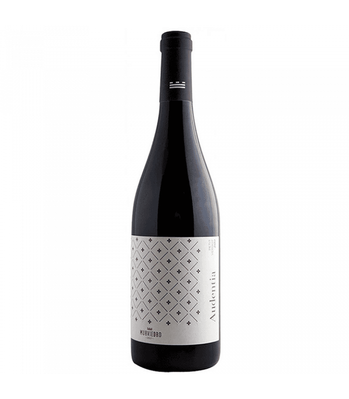 Audentia Syrah