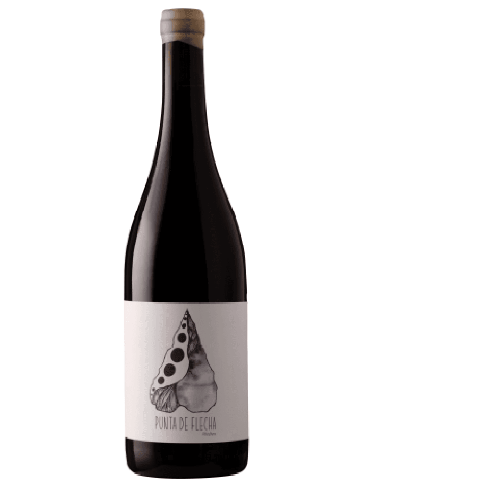 PUNTA DE FLECHA - Garnacha