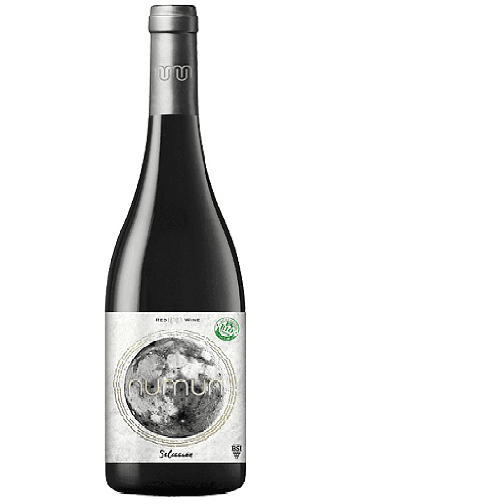 NUMUN Selección - Roble