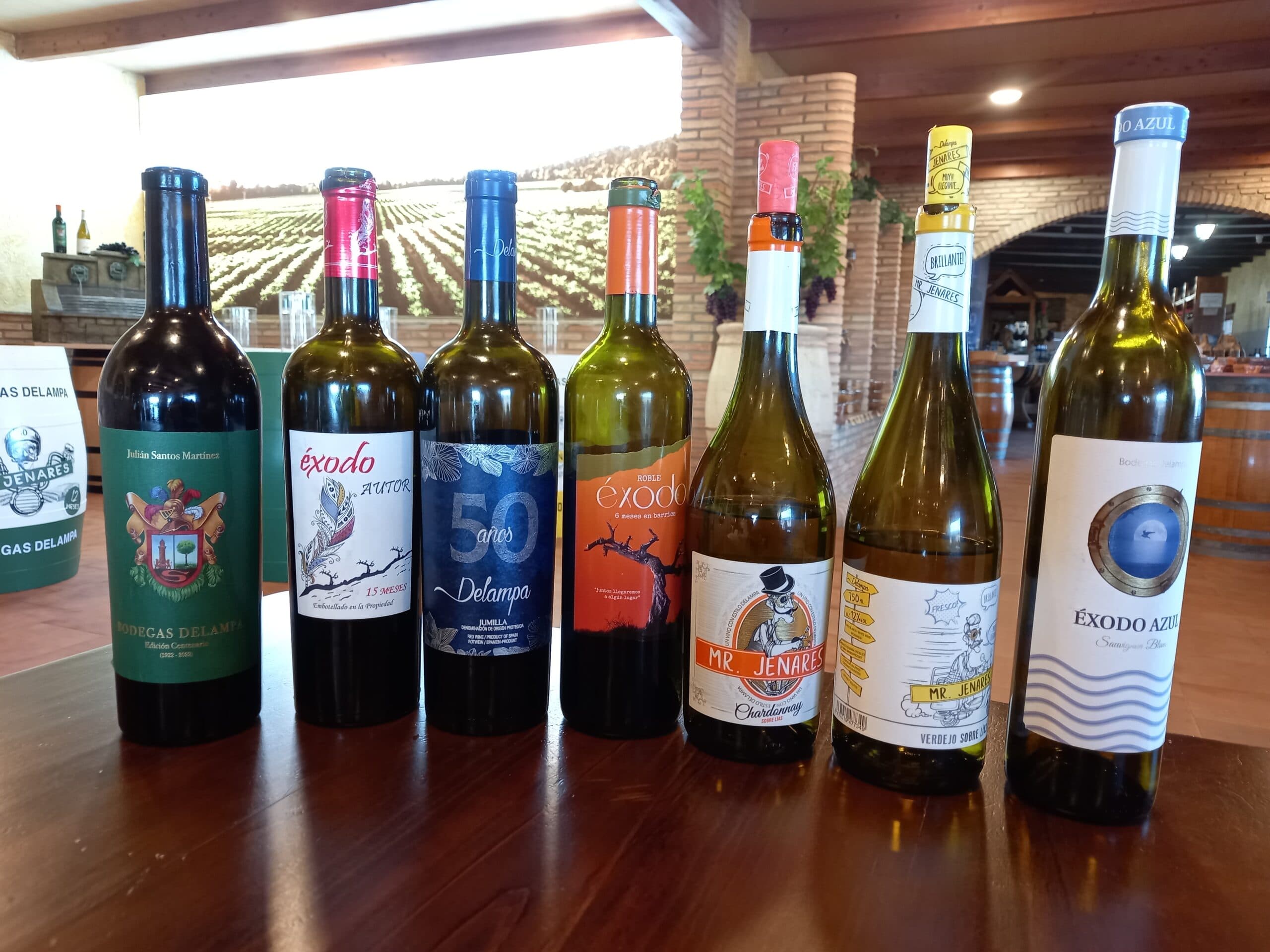 CATA EN DODEGAS DELAMPA (Jumilla-Murcia)