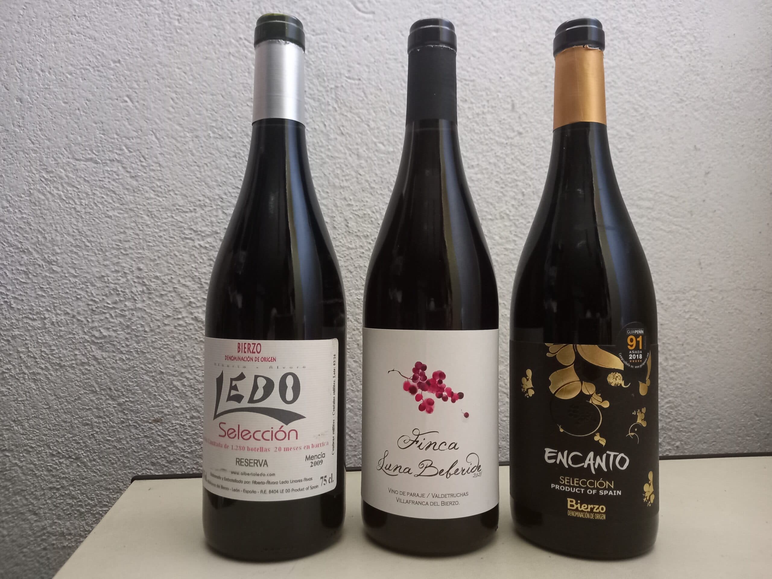UVA MENCÍA, LA REINA DEL BIERZO