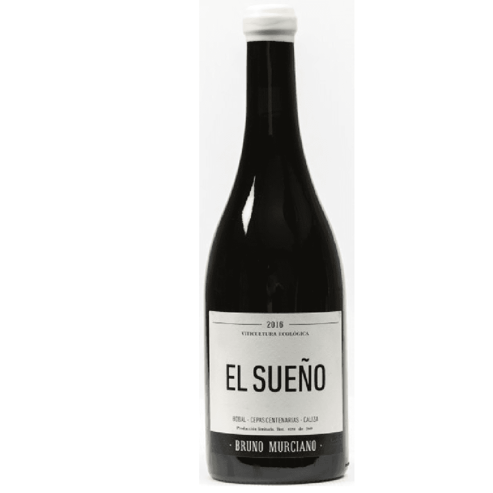 EL SUEÑO
