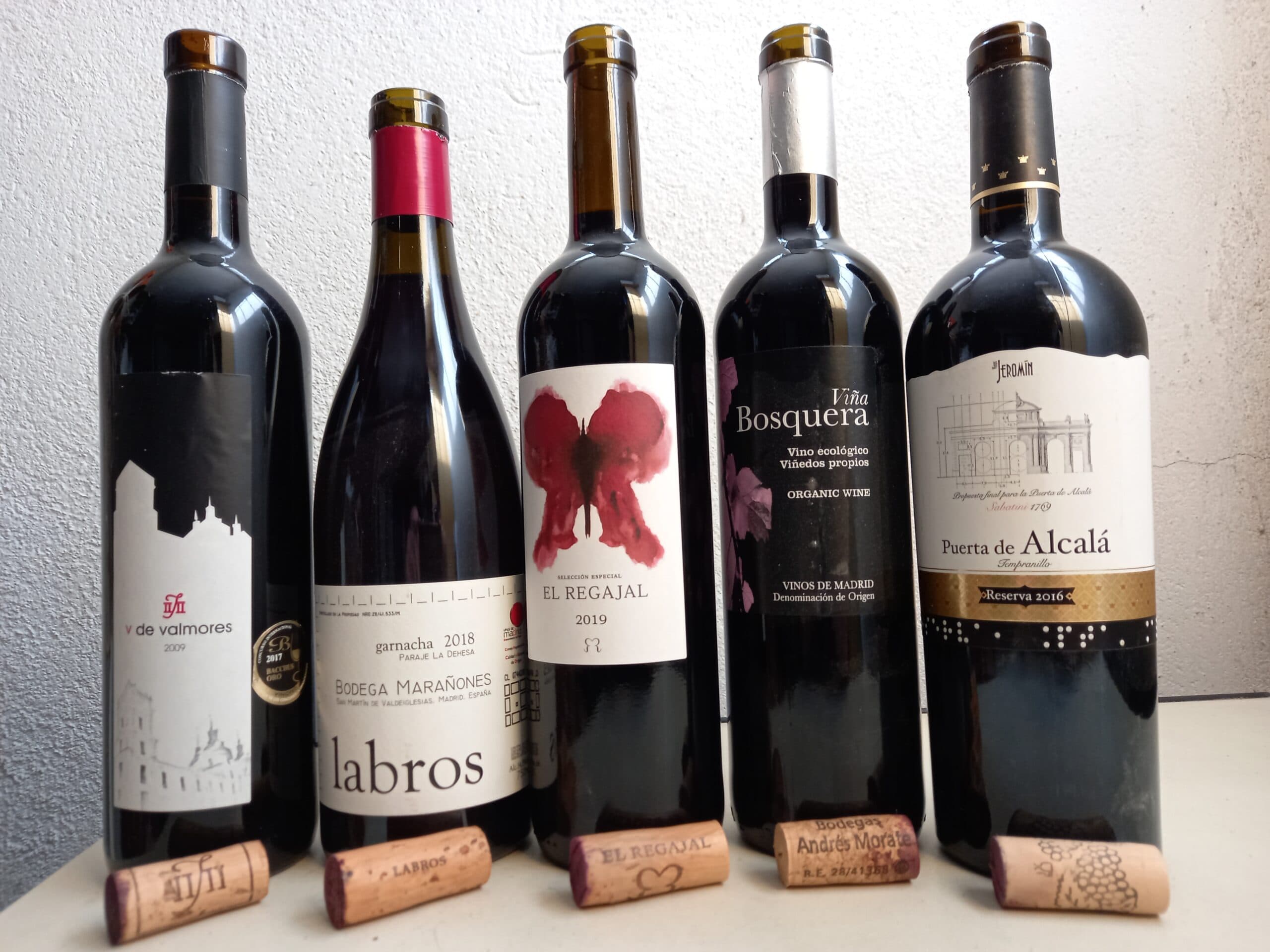 CATANDO UNOS VINOS DE MADRID