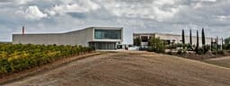 Bodega BELONDRADE Y LURTON
