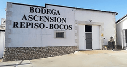 Bodega ASCENSIÓN REPISO