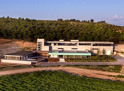 Bodegas AALTO (Quintanilla de Arriba