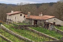 Bodega FINCA SCINTILLA (Chantada, Lugo)