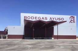 Bodegas AYUSO-Villarrobledo (Albacete)