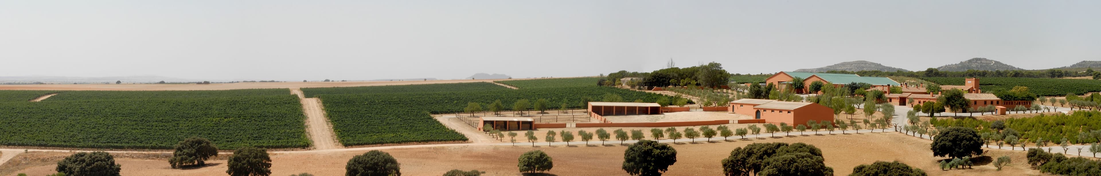 Bodegas y Viñedos BALMORAL (Alpera, Albacete)