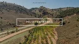 Bodegas MILSETENTAYSEIS (Fuentenebro, Burgos)