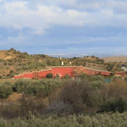 Bodega CERRO DE LAS CRUCES (Guadix, Granada)