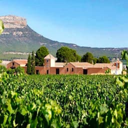 Bodega HACIENDA EL ESPINO (Almansa-Albacete)