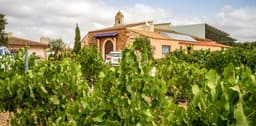 Bodegas RODRIGUEZ DE VERA (Chinchilla-Albacete)