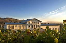 Bodegas y Viñedos GODELIA (Pieros-El Bierzo, León)