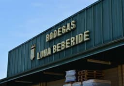 Bodegas y Viñedos LUNA BEBERIDE (Cacabelos, León)