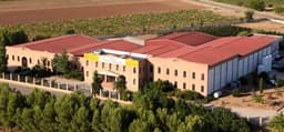 Bodegas ALLOZO CENTRO ESPAÑOLAS (Tomelloso, Ciudad Real)