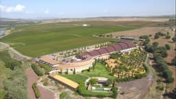 Bodega PAGO DEL VICARIO (Las Casas-Ciudad Real)