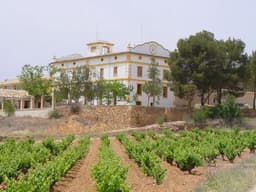 Bodegas EMILIO CLEMENTE (Requena-Valencia)