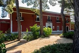 Bodegas DOMINIO DE LA VEGA (Requena-Valencia)