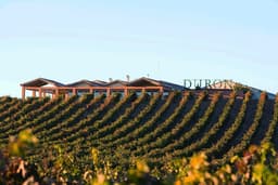 Bodegas DURÓN (Roa, Burgos).
