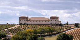Bodega PAGOS DE ANGUIX (Anguix, Burgos)