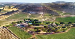 Bodega PAGO DE CALZADILLA (Huete, Cuenca)