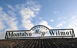 Bodegas MONTALVO WILMOT_ PAGO LOS CERRILLOS (Argamasilla de Alba, C_Real)