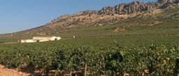 Bodega PAGO FLORENTINO (Malagón, Ciudad Real)