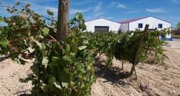 Bodega PAGO FINCA SANDOVAL (Ledaña, Cuenca)