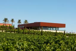 Bodegas LUIS PEREZ (Jerez de la Frontera, Cádiz)