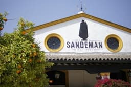 Bodegas SANDEMAN (Jerez de la Frontera, Cádiz)