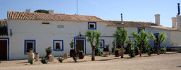 Bodegas CASA CASTILLO (Jumilla, Murcia)