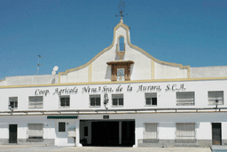 Bodegas LA AURORA (Montilla, Córdoba)