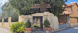 Bodegas CANTAMORA, (Pesquera de Duero, Valladolid)