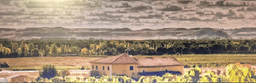 Bodegas VALDECURIEL (Curiel de Duero, Valladolid)