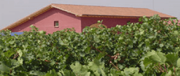 Bodega FINCA LA CANTERA DE SANTA ANA (Murchante, Navarra)