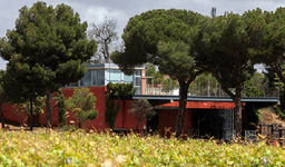 Bodegas LA LEGUA, (Fuensaldaña, Valladolid)